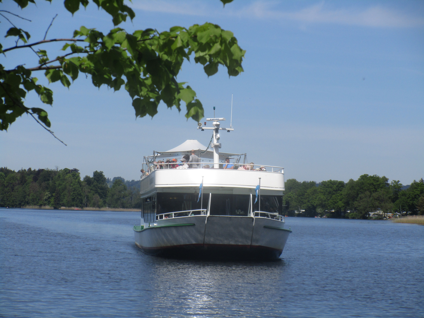 Ms Seehausen Ms Seehausen