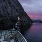 MS Trollfjord im Trollfjord