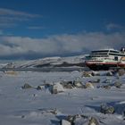 MS Trollfjord in Kirkenes