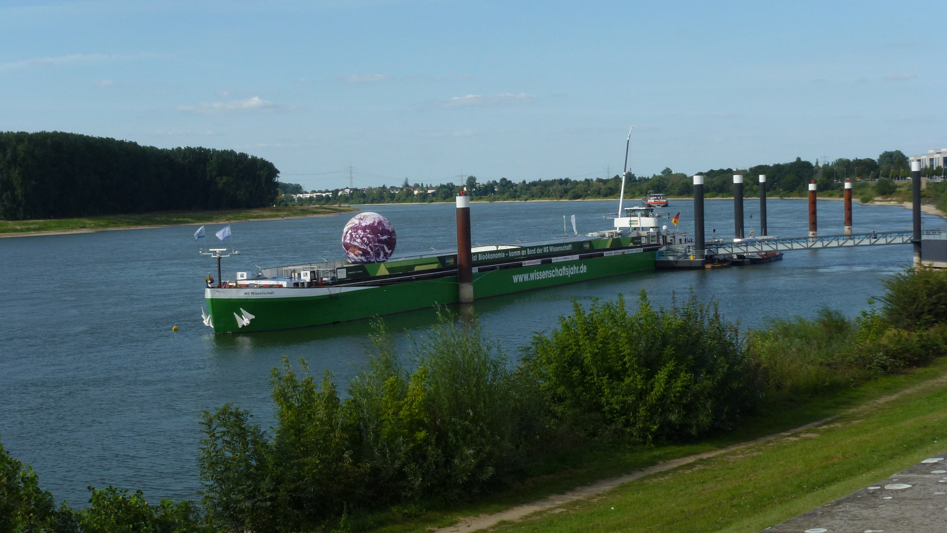 MS Wissenschaft