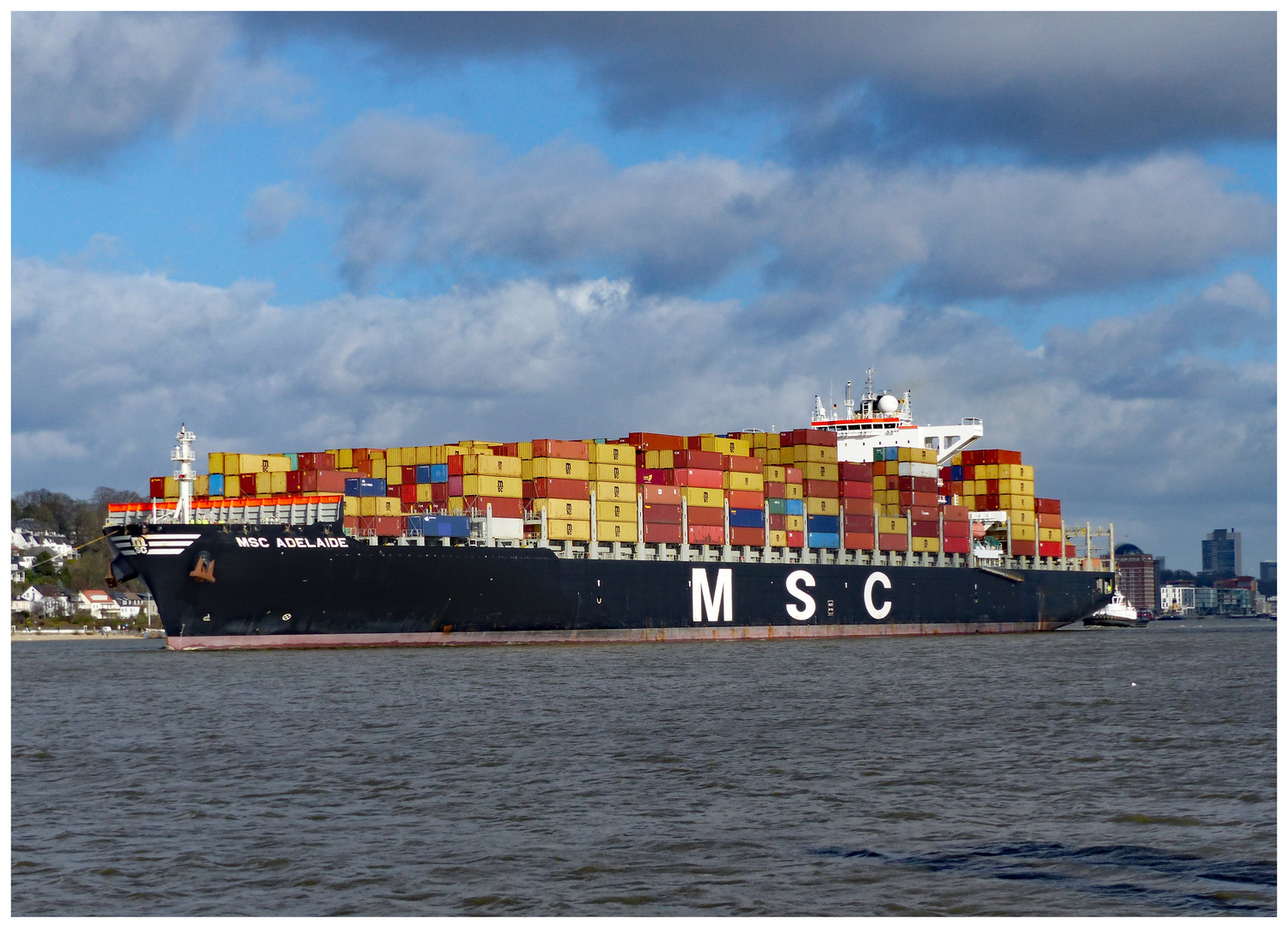 MSC Adelaide - Containerfrachter