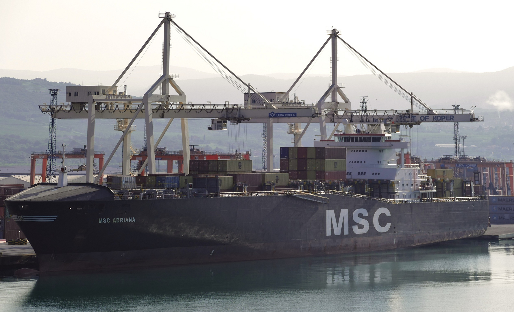 MSC Adriana