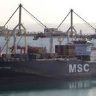 MSC Adriana