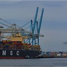 MSC ALBANY / Container ship / Rotterdam / Bitte scrollen !