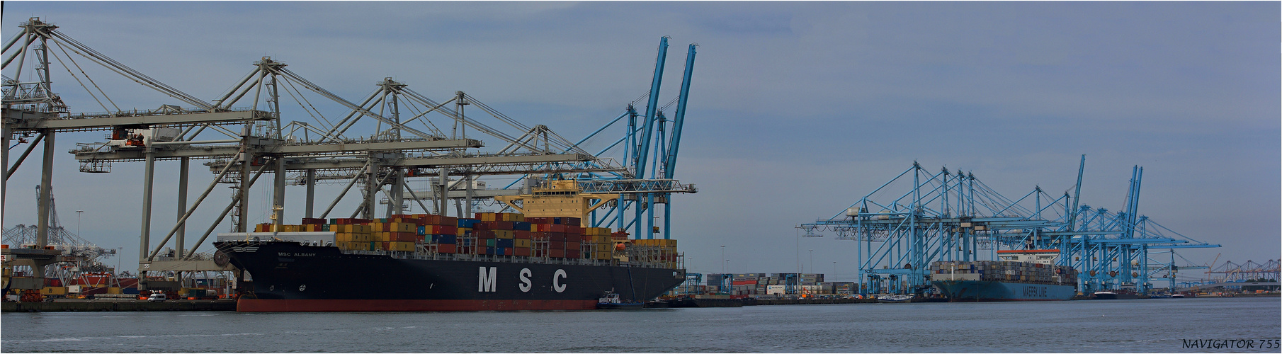 MSC ALBANY / Container ship / Rotterdam / Bitte scrollen !