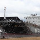 MSC ALESSIA