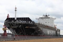 MSC ALESSIA