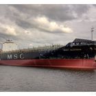 MSC ALESSIA