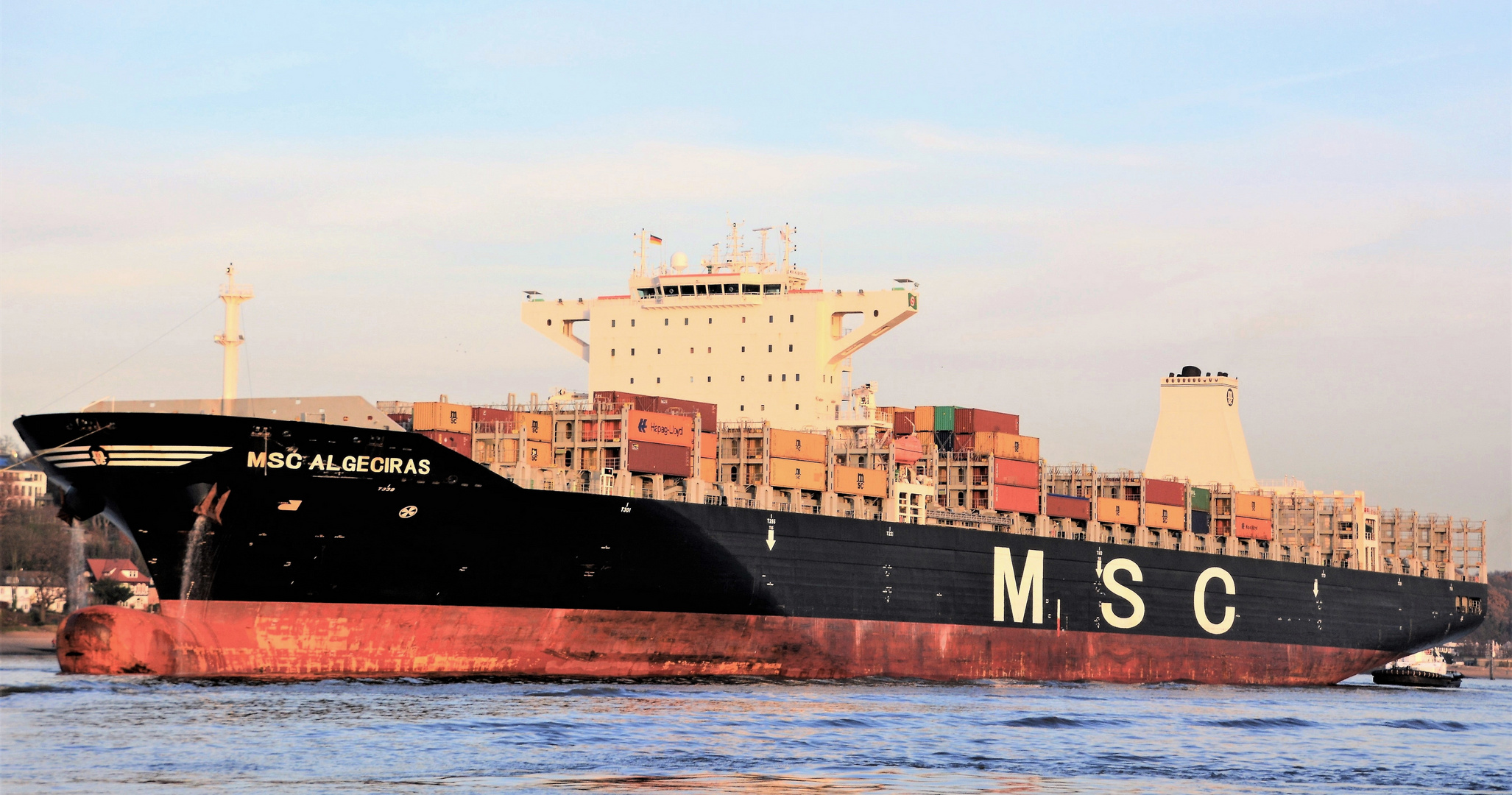 MSC ALGECIRAS