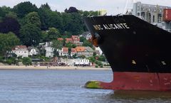 MSC Alicante vor der Strandperle