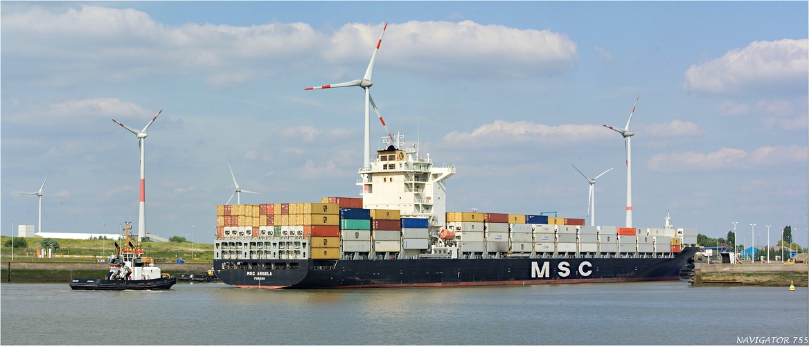 MSC ANGELA / Berendrechtschleuse / Antwerpen