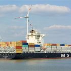 MSC ANGELA / Berendrechtschleuse / Antwerpen