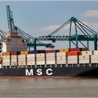 MSC ANGELA / Container Ship / Schelde / Antwerpen