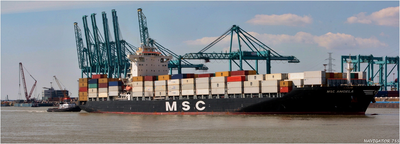 MSC ANGELA / Container Ship / Schelde / Antwerpen