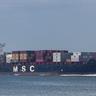 MSC ANISHA R