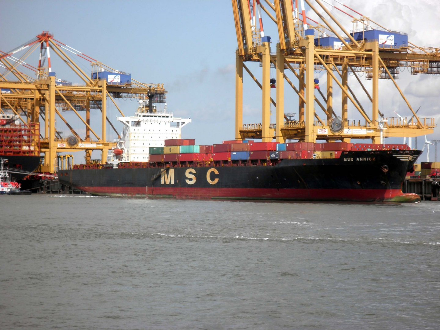 MSC ANNICK