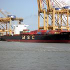 MSC ANNICK