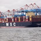 MSC APOLLINE