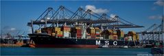 MSC ARBATAX / Container Vessel / Rotterdam