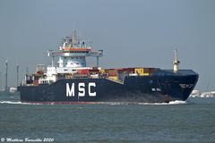 MSC Asli