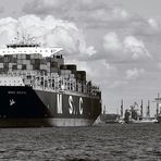 *MSC BERYL* monochrom - reloaded