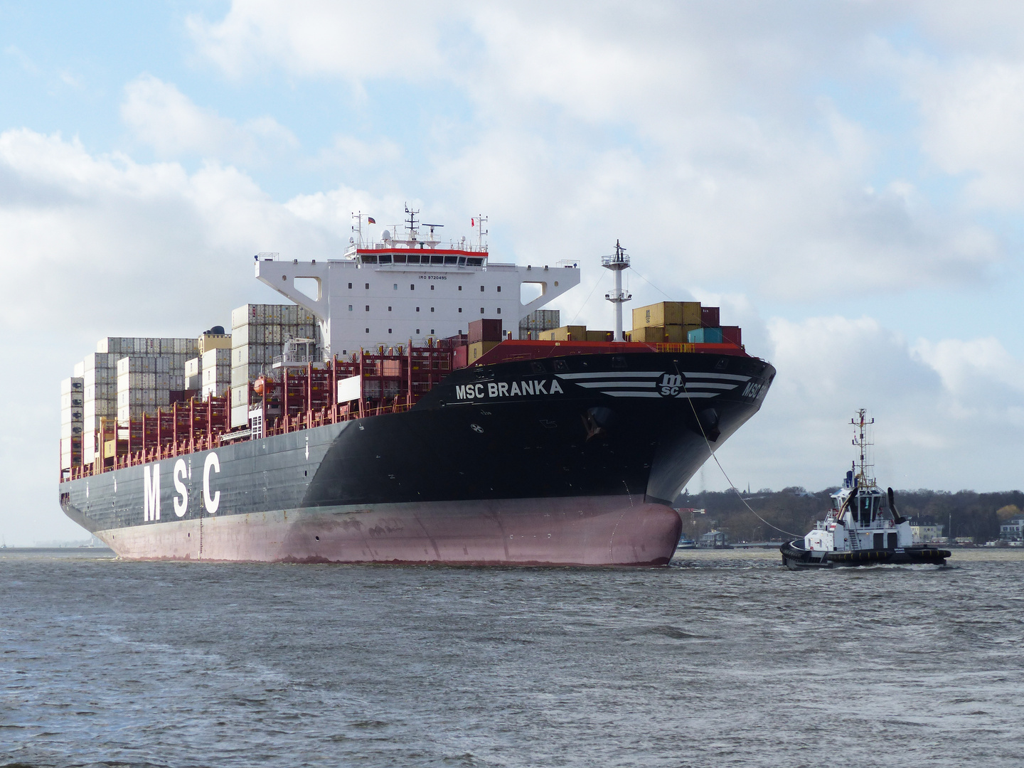 MSC Branka