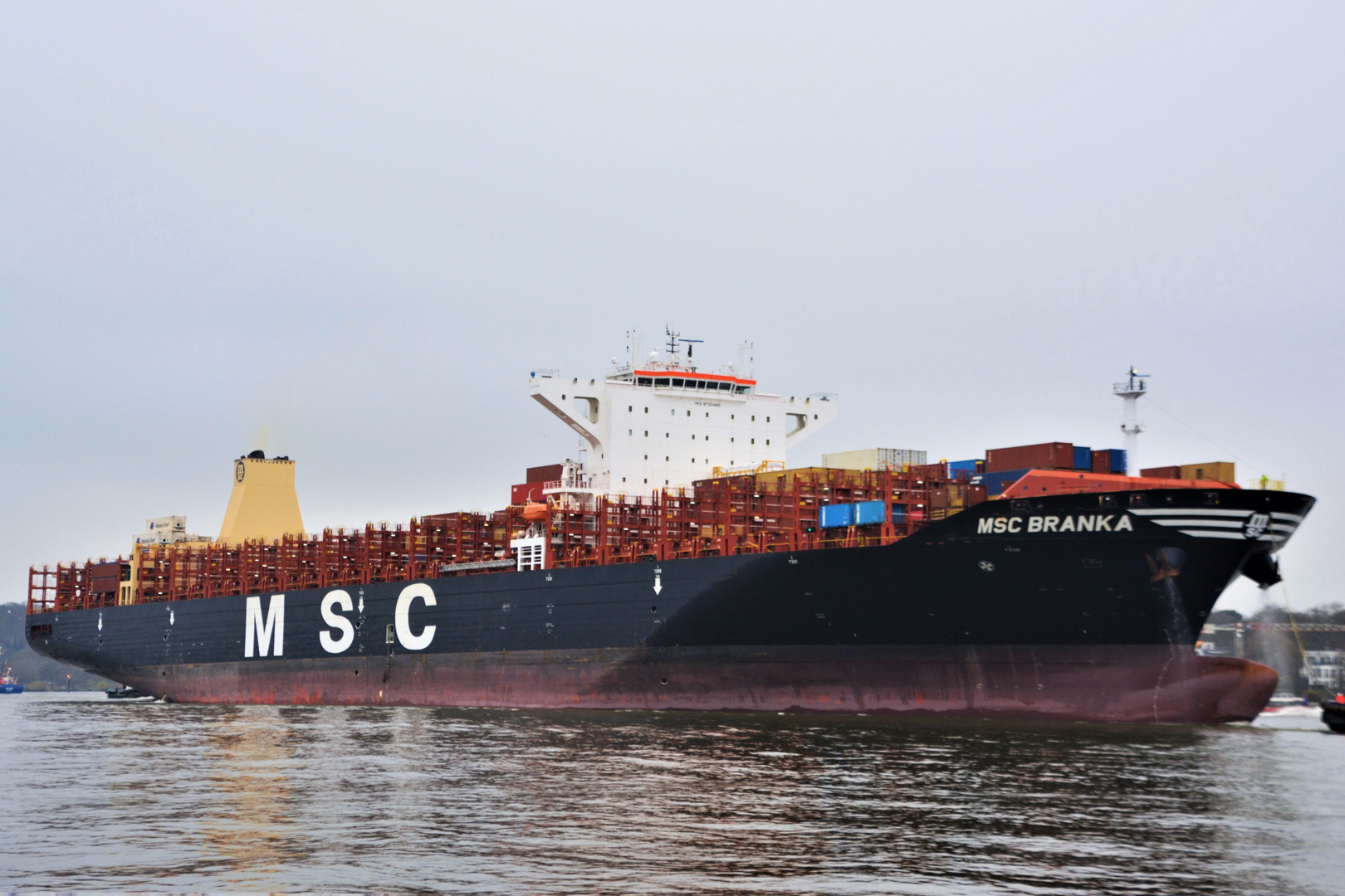 MSC BRANKA