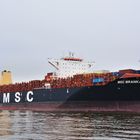 MSC BRANKA