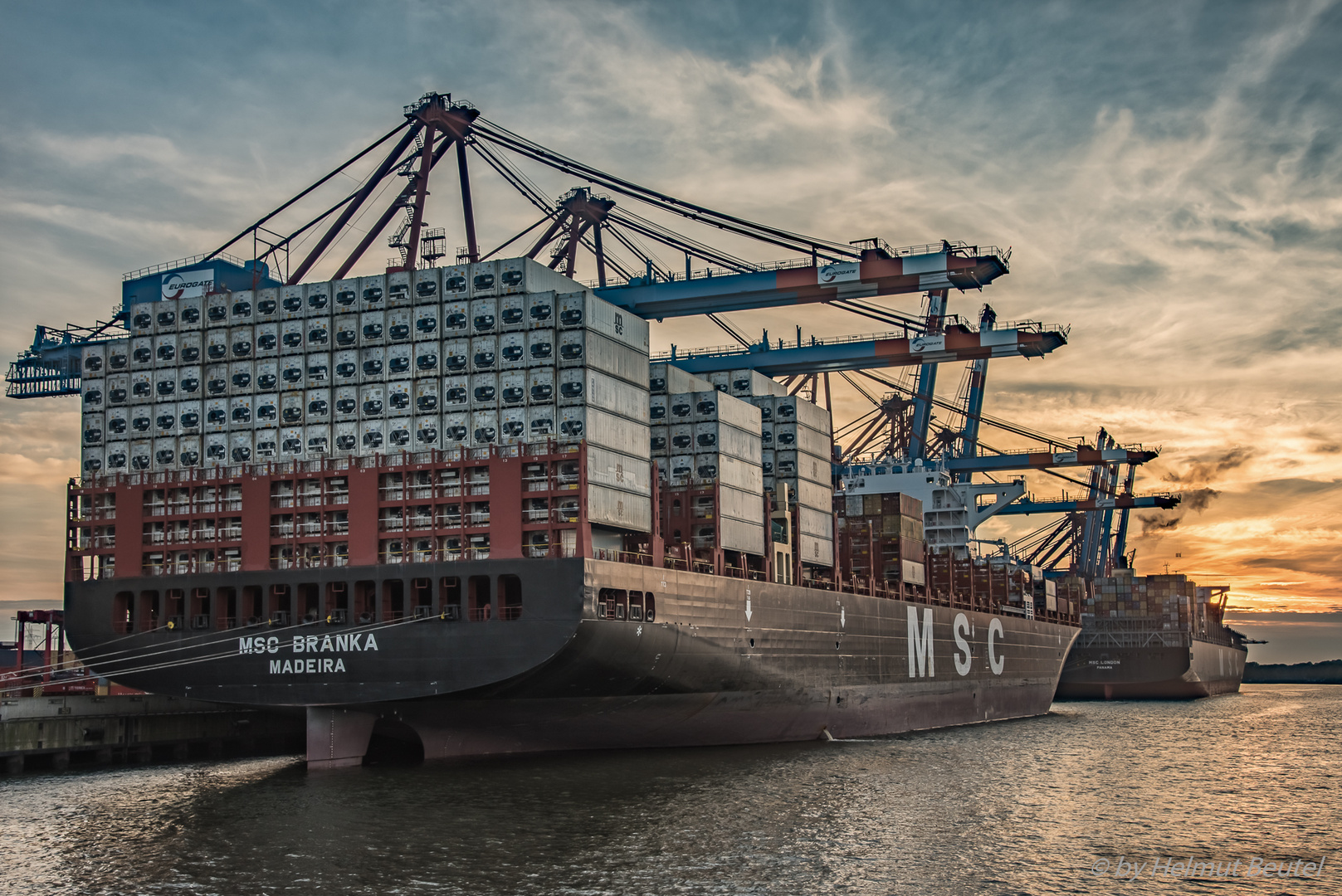 MSC BRANKA @ Waltershofer Hafen