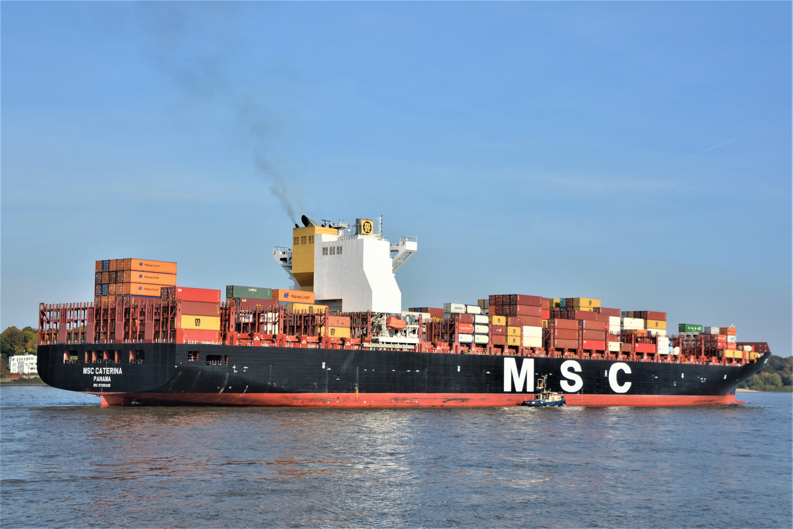 MSC CATERINA