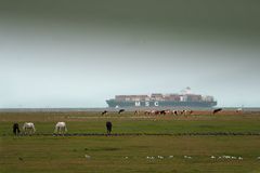 MSC - Containerschiffe