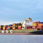 MSC DESIREE