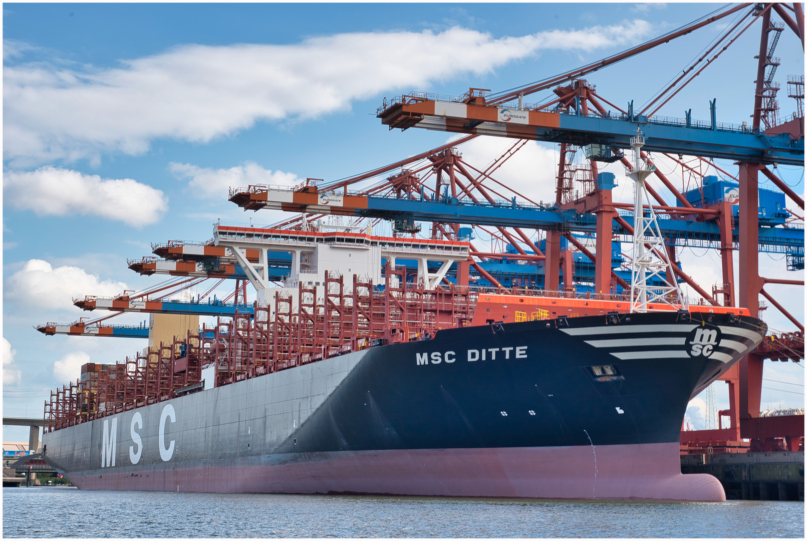 MSC DITTE