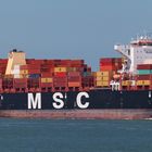 MSC DOMITILLE