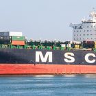 MSC Dymphna