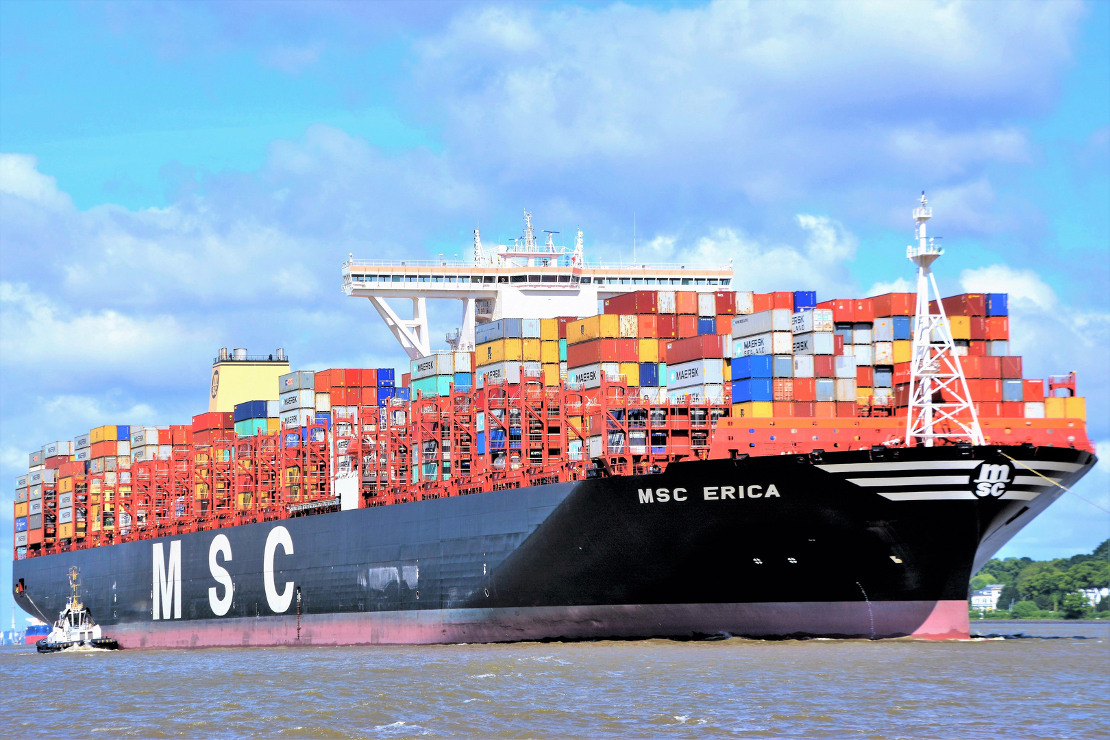 MSC ERICA