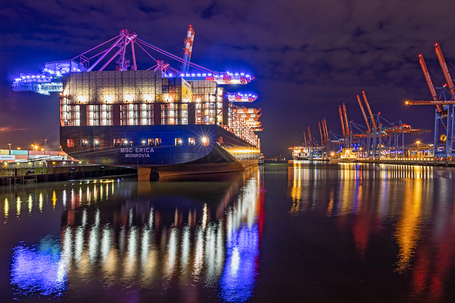 MSC Erica, Hamburg