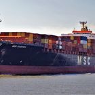 MSC EUGENIA