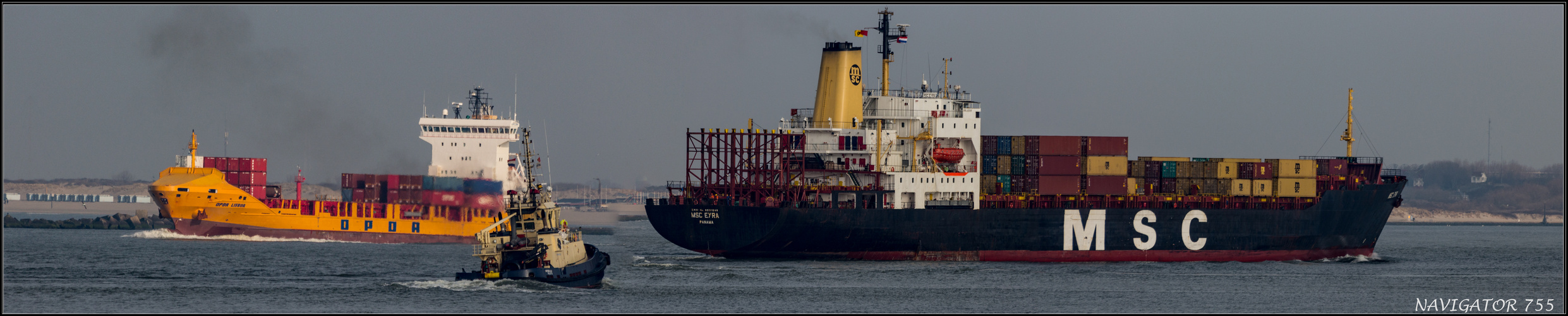 MSC EYRA / Container Vessel / Inbound Rotterdam