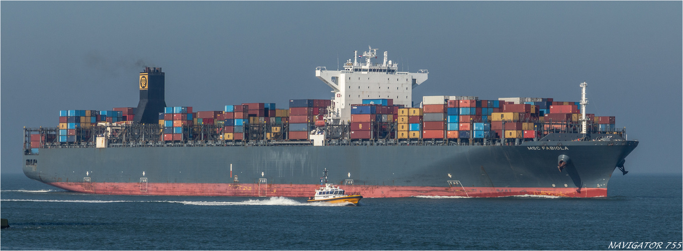 MSC FABIOLA , Rotterdam