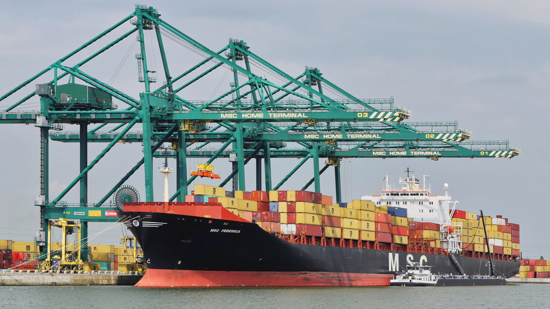 MSC Federica in Antwerpen