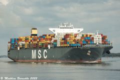 MSC Filippa