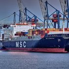 -- MSC FLORENTINA --