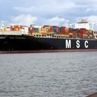 MSC FRANCESCA