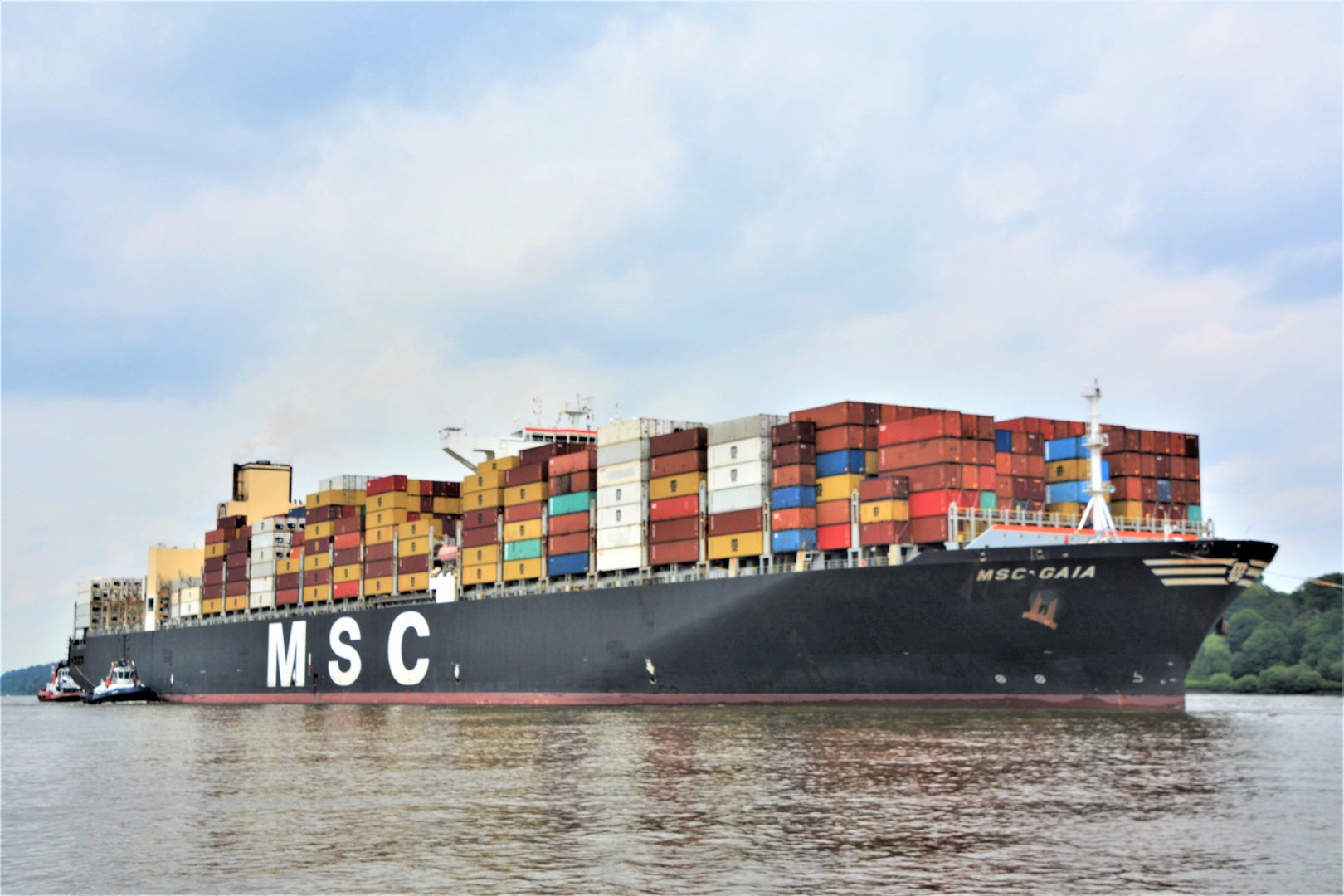 MSC GAIA