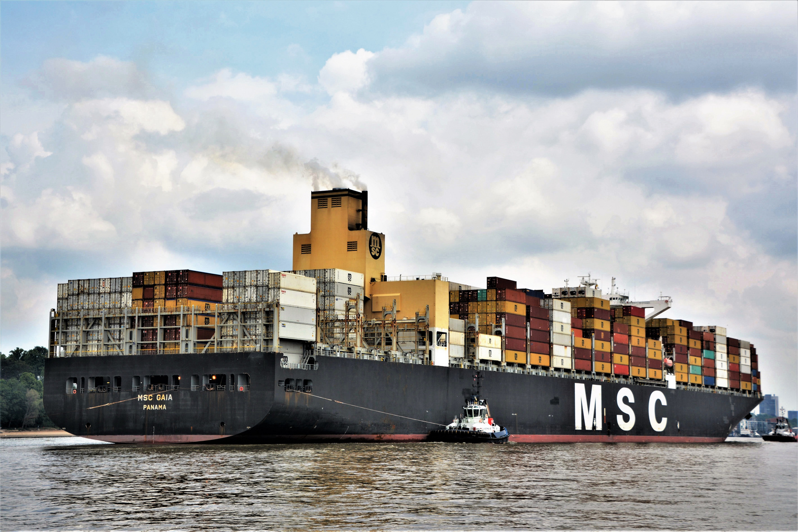 MSC GAIA