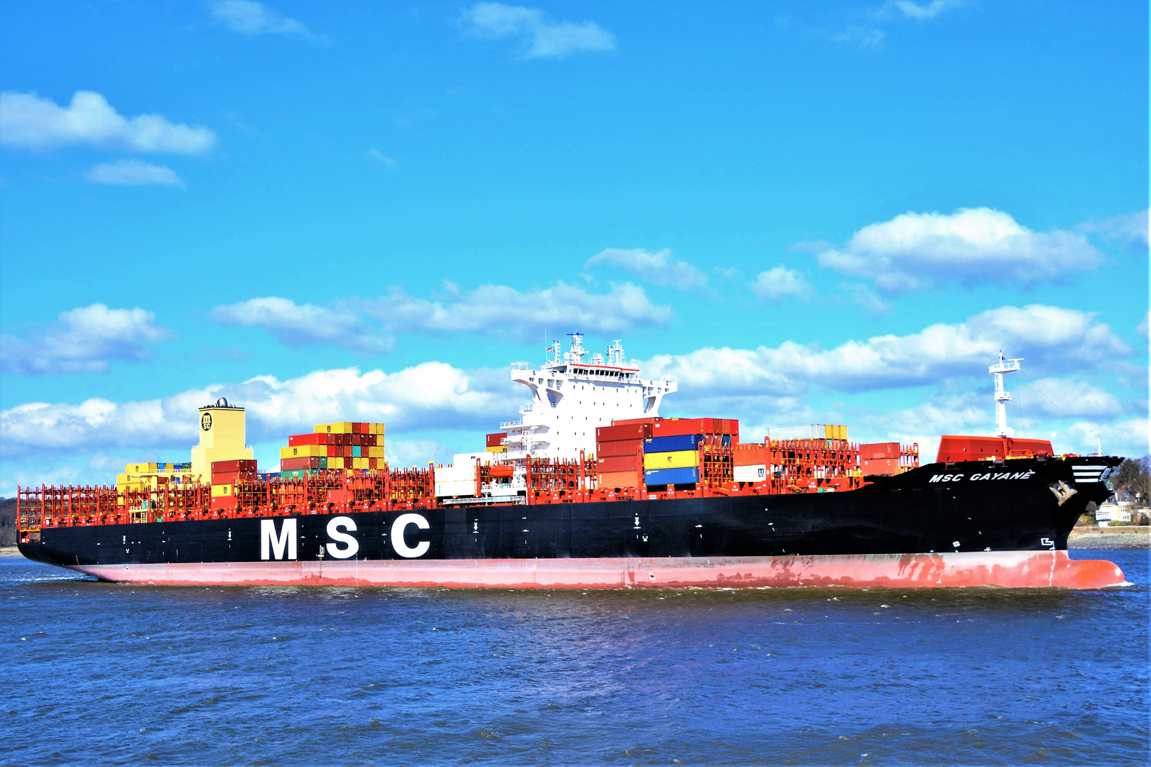 MSC GAYANE