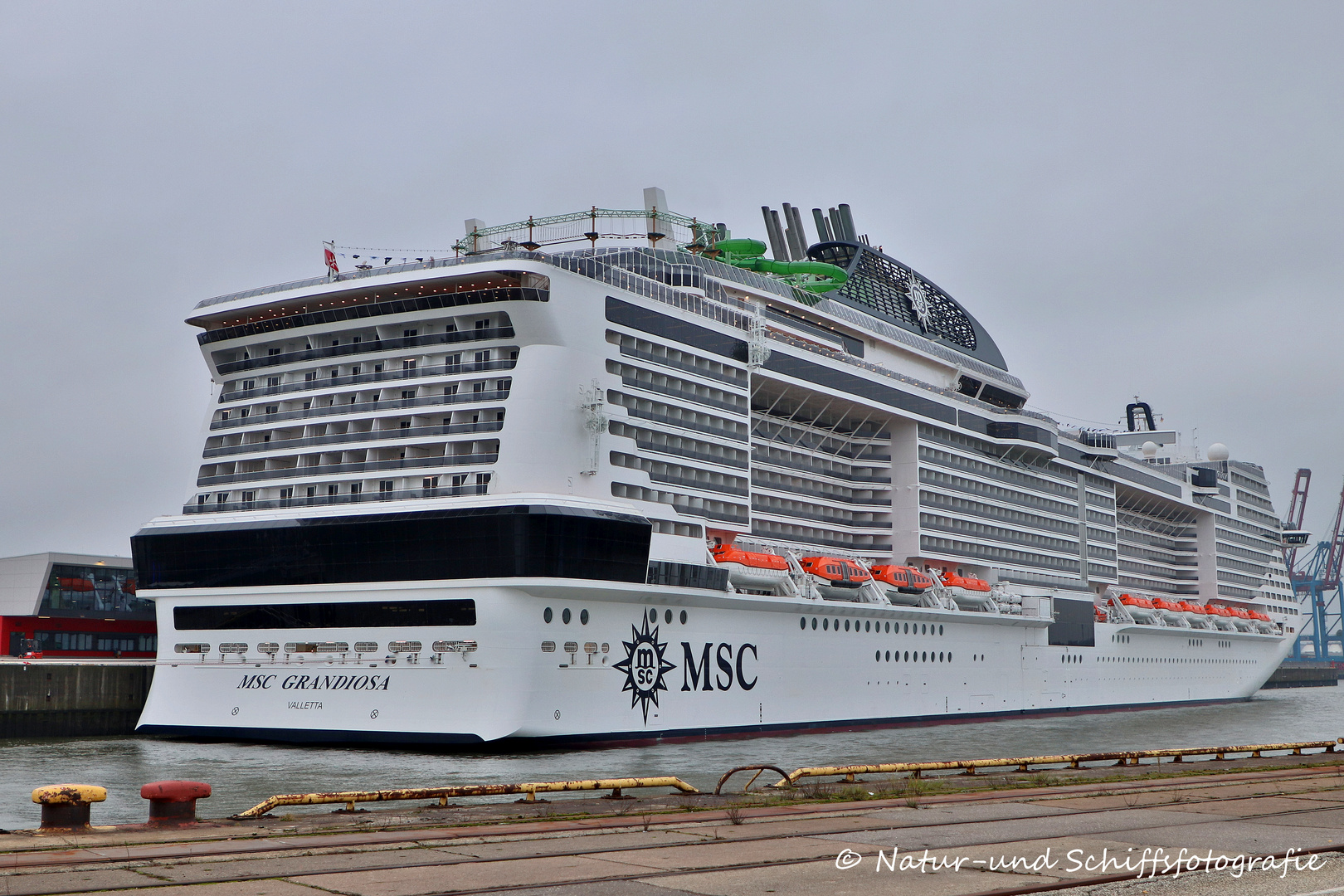 MSC GRANDIOSA in Hamburg