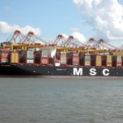 MSC GÜLSÜN