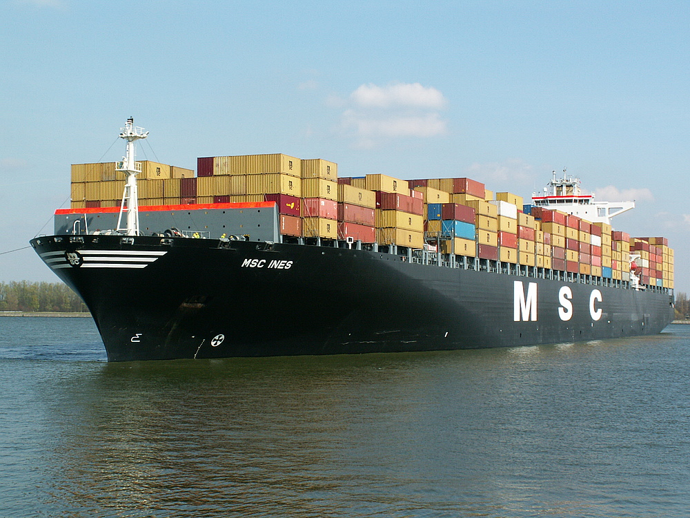 Msc Ines